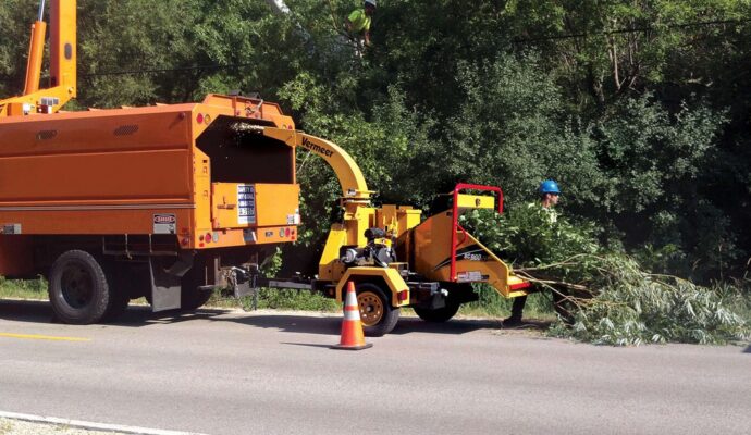 Commercial Tree Services Near Me-Pro Tree Trimming & Removal Team of Palm Springs