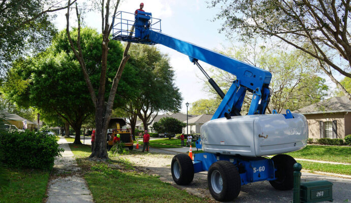 Palm Springs Residential Tree Services-Pro Tree Trimming & Removal Team of Palm Springs