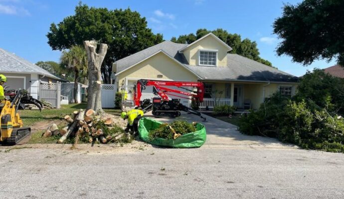 Residential Tree ServicesPalm Springs-Pro Tree Trimming & Removal Team of Palm Springs