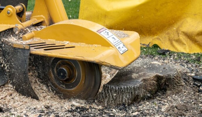 Stump Grinding & Removal Palm Springs-Pro Tree Trimming & Removal Team of Palm Springs