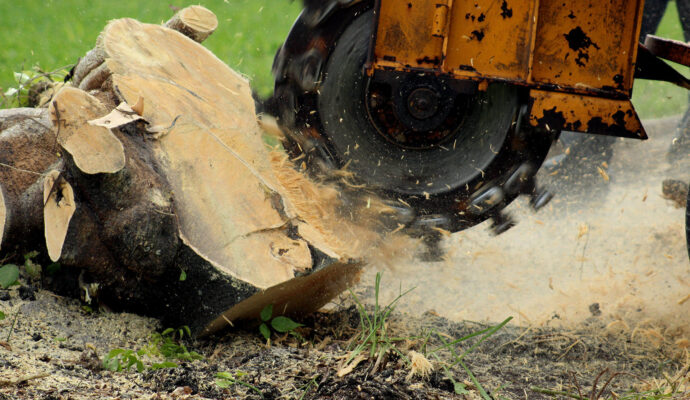 Stump-Grinding-Removal-Services Pro-Tree-Trimming-Removal-Team-of-Palm Springs