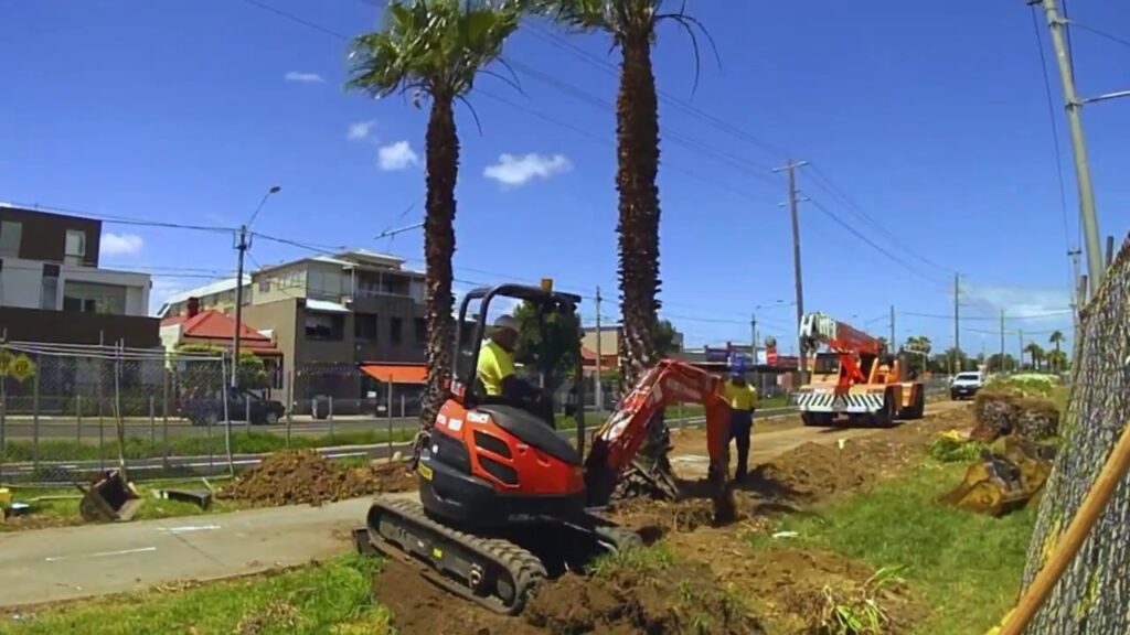 Palm Tree Removal-Pros-Pro Tree Trimming & Removal Team of Palm Springs