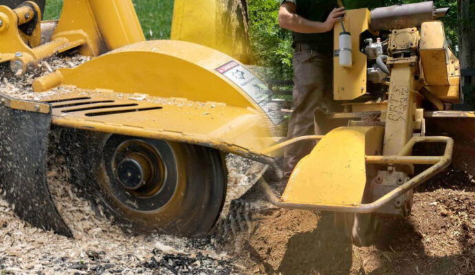 Stump Grinding & Removal Experts-Pro Tree Trimming & Removal Team of Palm Springs